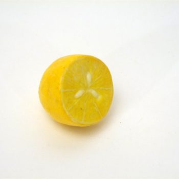 citroen kunstfruit
