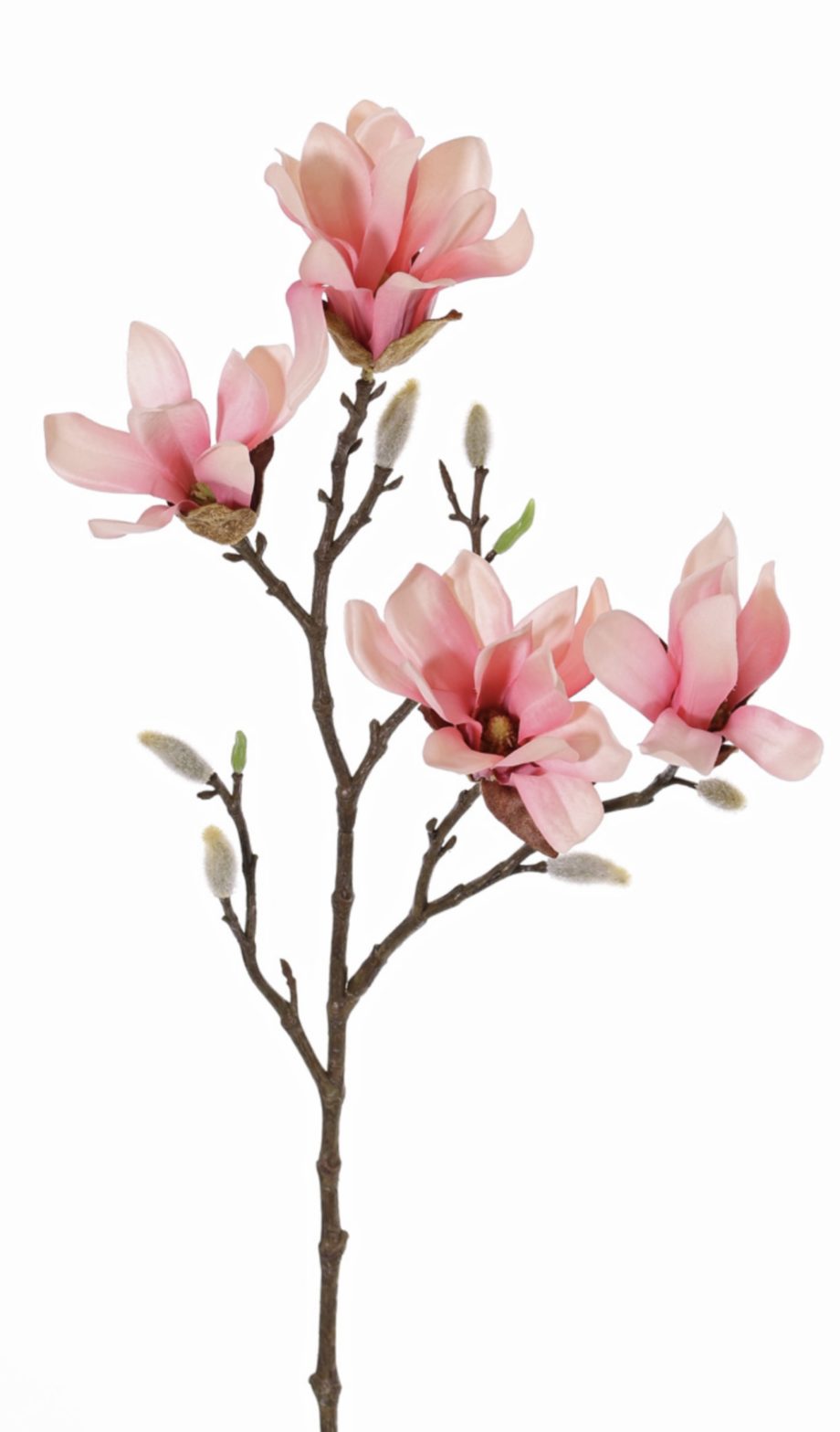 magnolia kunsttak