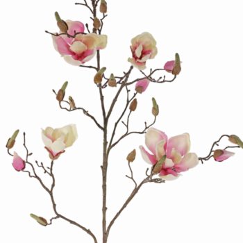 Wit roze magnolia kunsttak