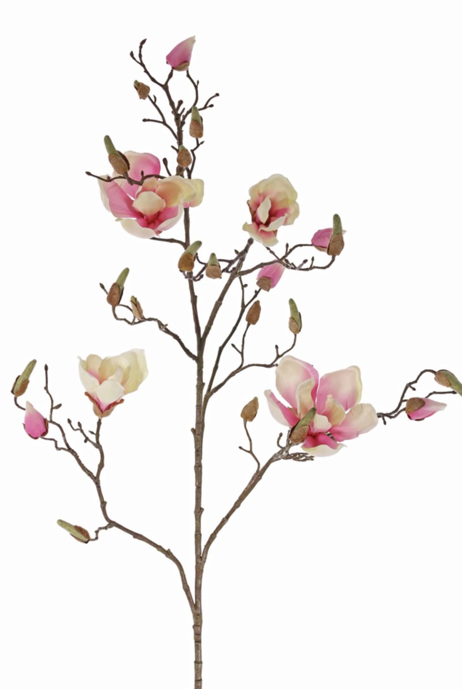 Wit roze magnolia kunsttak