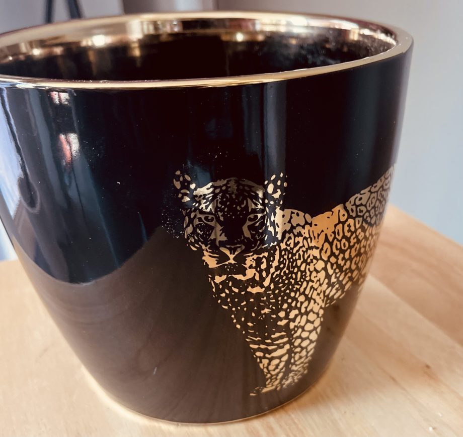 PTMD cheetah pot