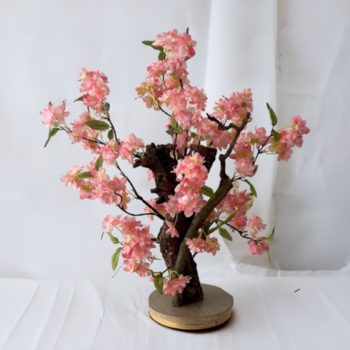 Bonsai roze