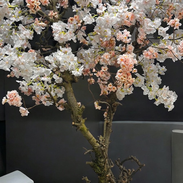 Hoge Kunstbloesemboom 240 cm – Handgemaakt & Kant-en-Klaar -