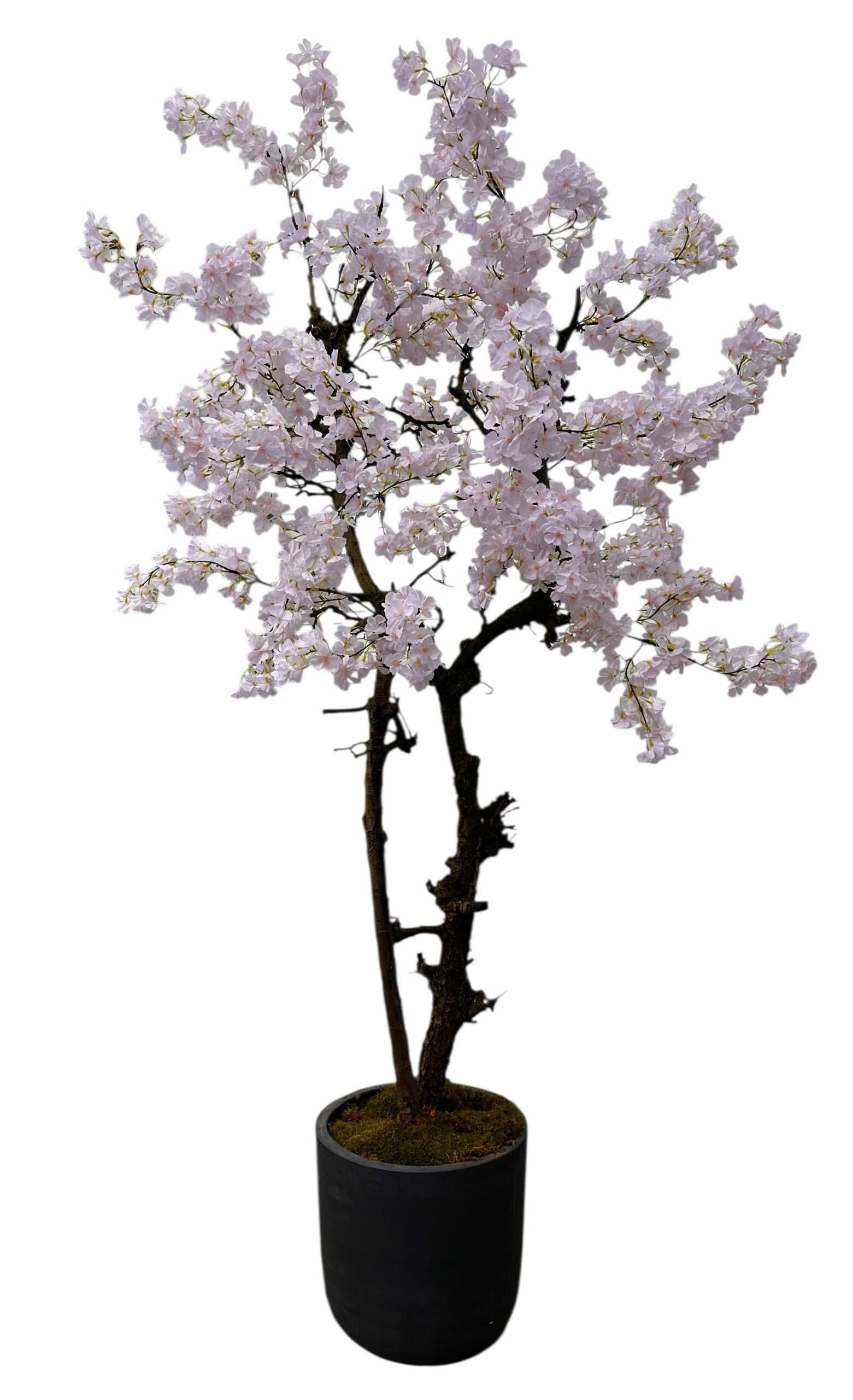 Hoge Kunstbloesemboom 240 cm – Handgemaakt & Kant-en-Klaar - Gratis geleverd