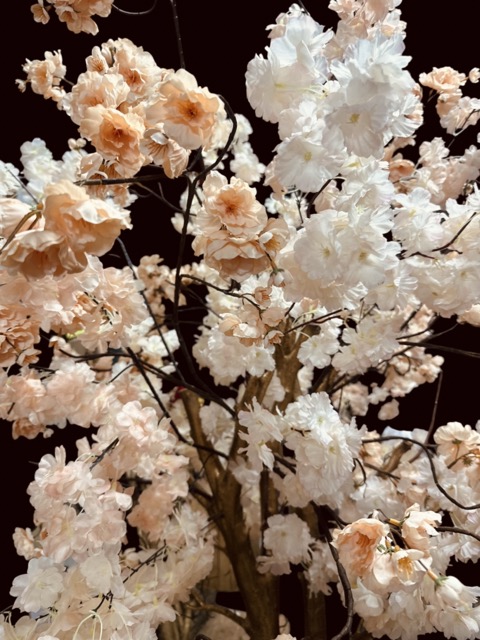 Kunstbloesemboom 200 cm – Abricot Peach Zalm – Handgemaakt op Gouden Houten Stam - Hotel Chique