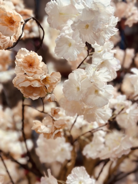 Kunstbloesemboom 200 cm – Abricot Peach Zalm – Handgemaakt op Gouden Houten Stam - Hotel Chique