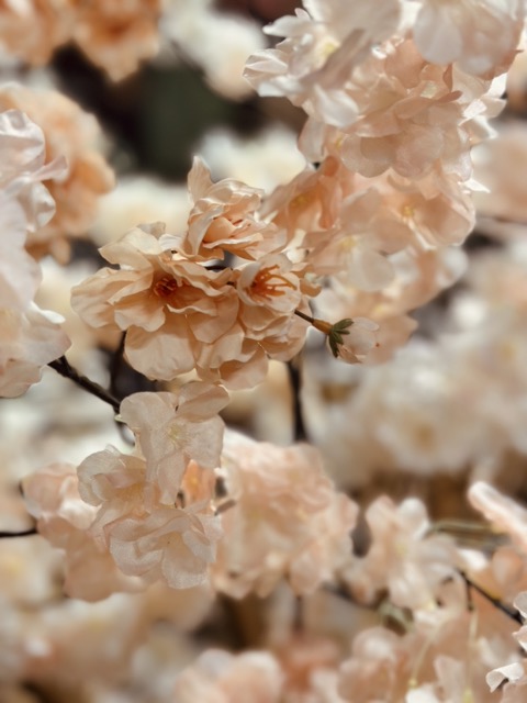 Kunstbloesemboom 200 cm – Abricot Peach Zalm – Handgemaakt op Gouden Houten Stam - Hotel Chique