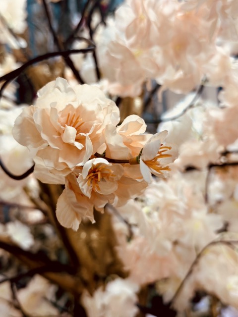 Kunstbloesemboom 200 cm – Abricot Peach Zalm – Handgemaakt op Gouden Houten Stam - Hotel Chique