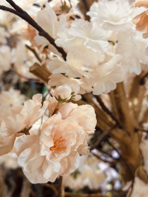 Kunstbloesemboom 200 cm – Abricot Peach Zalm – Handgemaakt op Gouden Houten Stam - Hotel Chique