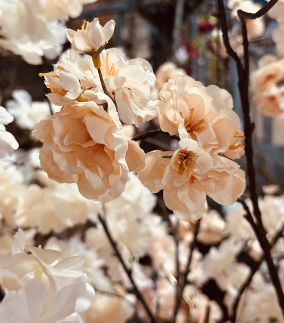 Kunstbloesemboom 200 cm – Abricot Peach Zalm – Handgemaakt op Gouden Houten Stam - Hotel Chique