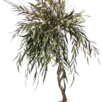 Kunstboom - houten stam - 180cm